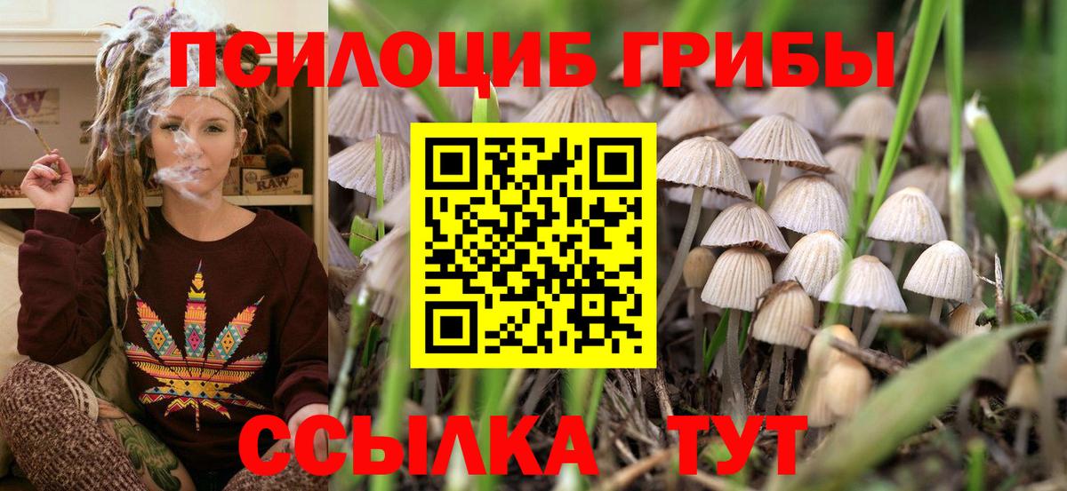 Галлюциногенные грибы Cubensis Ртищево